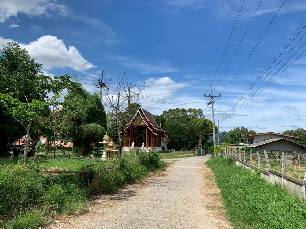 ที่ดินเปล่า นครราชสีมา ปากช่อง กลางดง 50400000