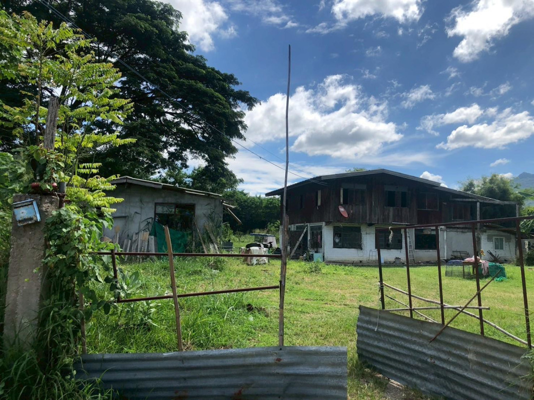 ที่ดินเปล่า นครราชสีมา ปากช่อง กลางดง 50400000