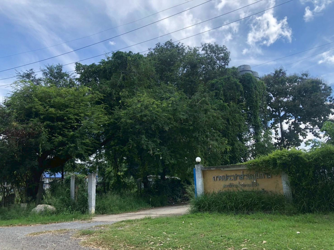 ที่ดินเปล่า นครราชสีมา ปากช่อง กลางดง 50400000