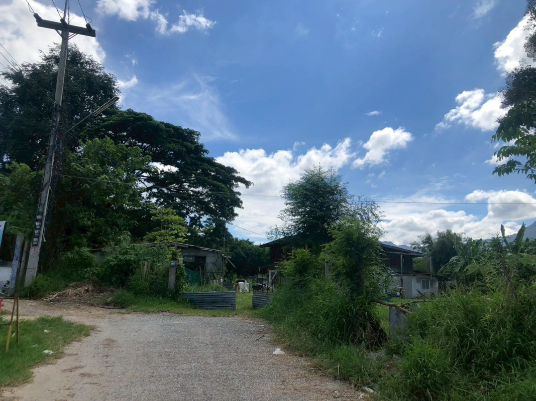 ที่ดินเปล่า นครราชสีมา ปากช่อง กลางดง 50400000