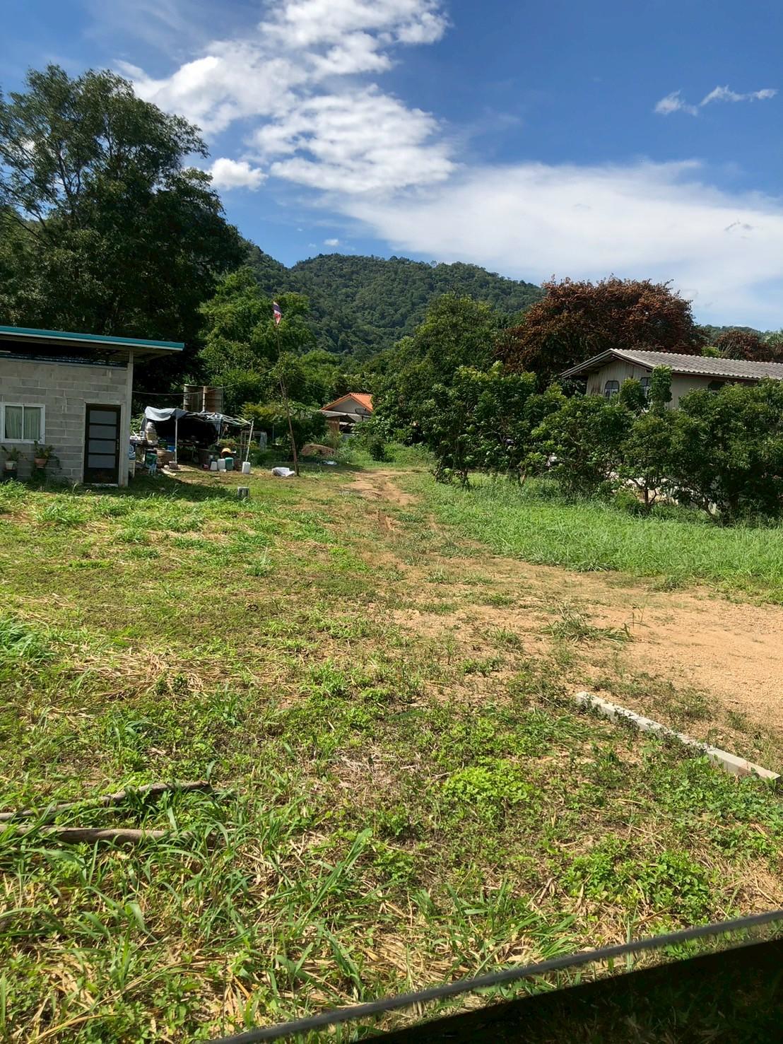 ที่ดินเปล่า นครราชสีมา ปากช่อง กลางดง 50400000