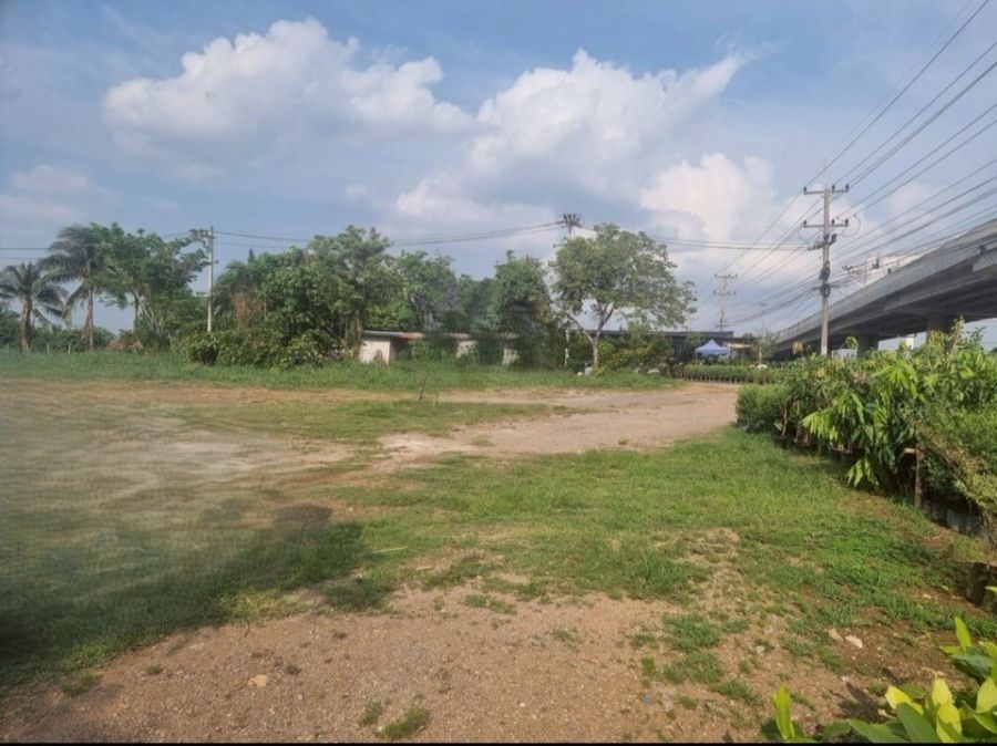 ที่ดินเปล่า นครราชสีมา ปากช่อง กลางดง 212400000