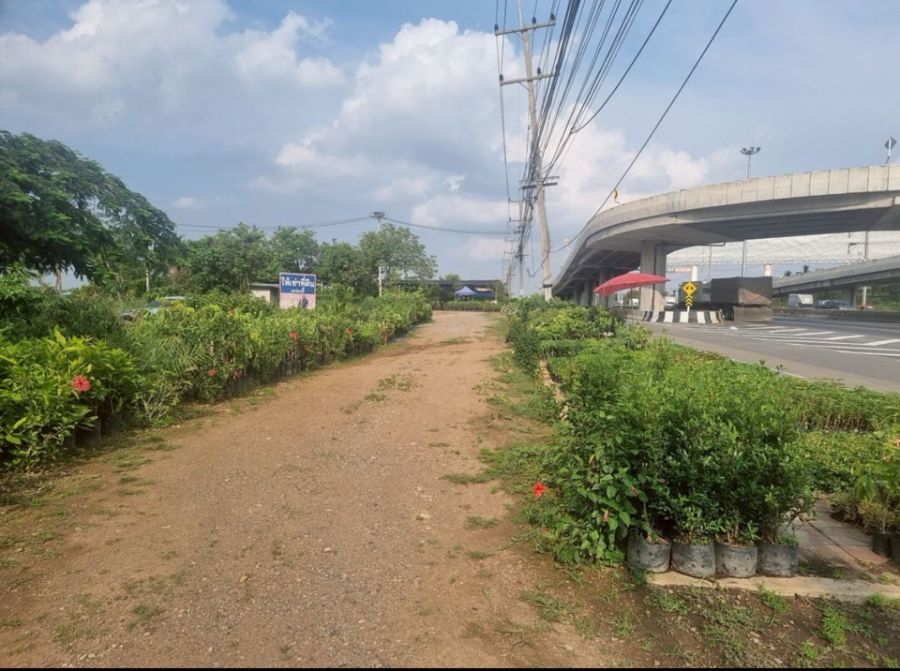 ที่ดินเปล่า นครราชสีมา ปากช่อง กลางดง 212400000