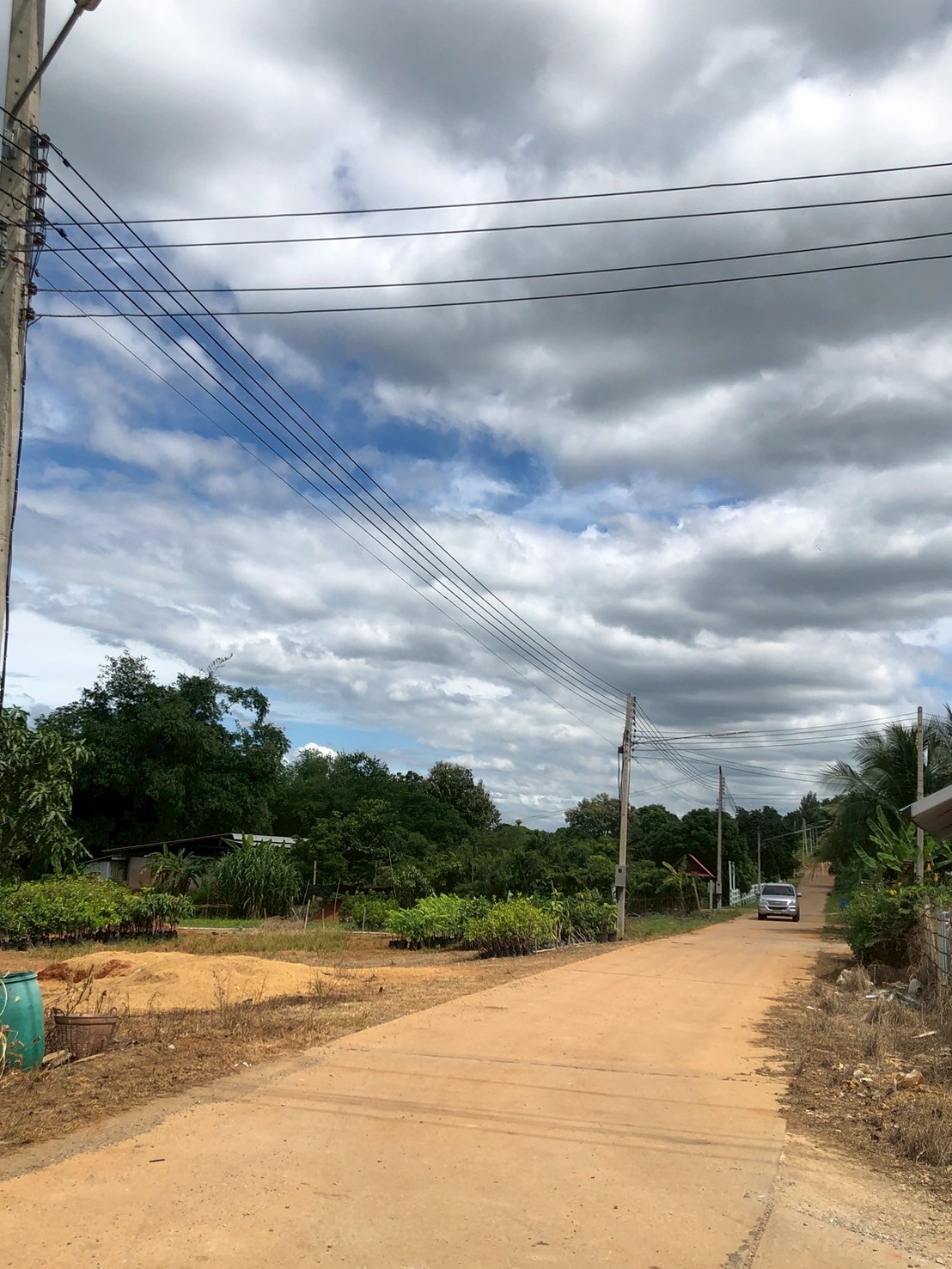 ที่ดินเปล่า นครราชสีมา ปากช่อง กลางดง 212400000