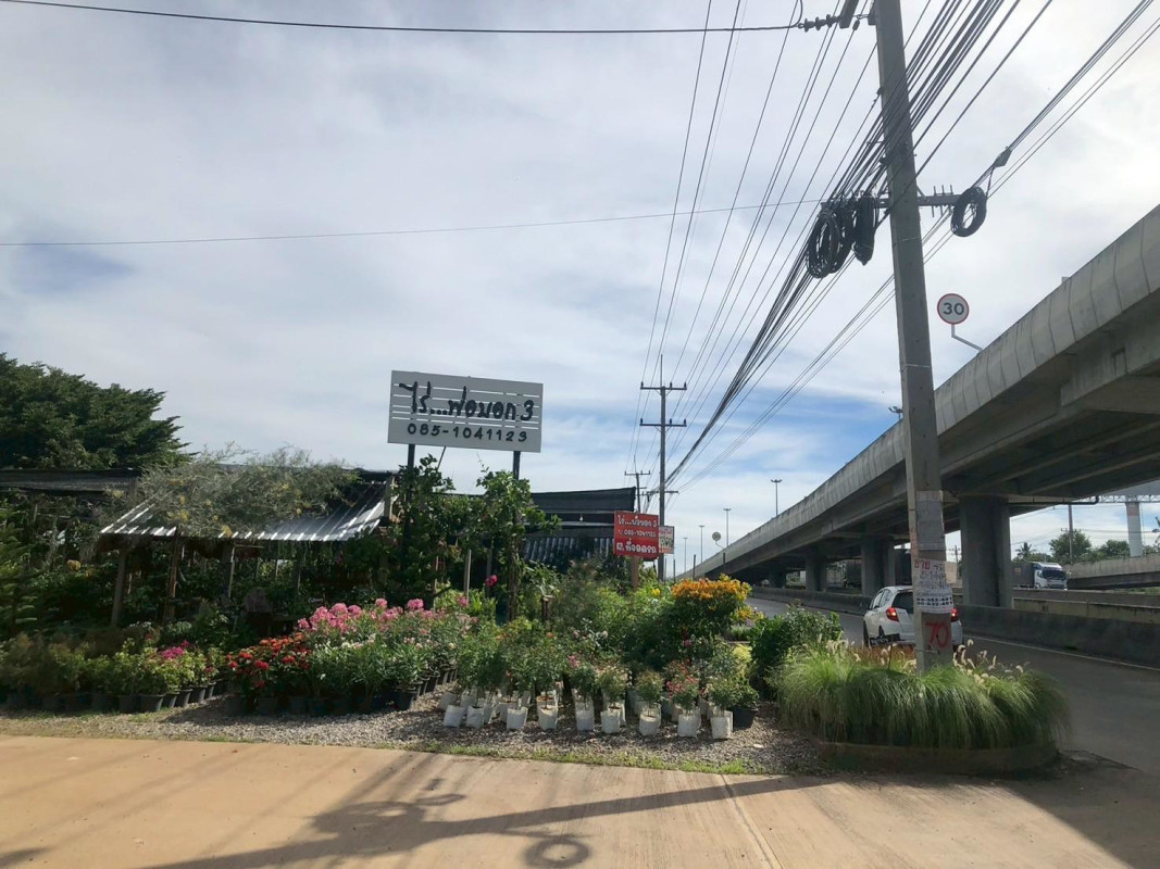 ที่ดินเปล่า นครราชสีมา ปากช่อง กลางดง 212400000