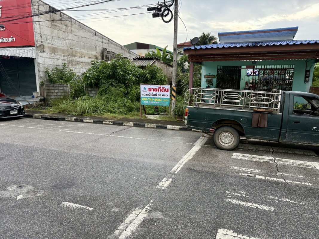 ที่ดินเปล่า พัทลุง บางแก้ว ท่ามะเดื่อ 2000000