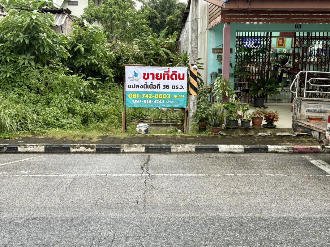 ที่ดินเปล่า พัทลุง บางแก้ว ท่ามะเดื่อ 2000000