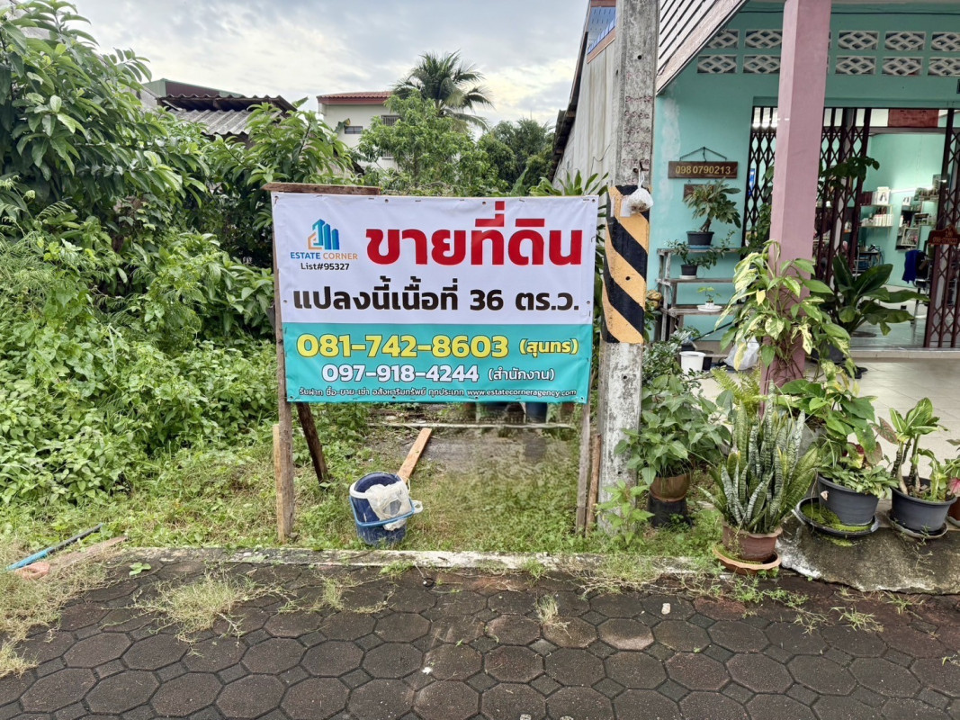 ที่ดินเปล่า พัทลุง บางแก้ว ท่ามะเดื่อ 2000000