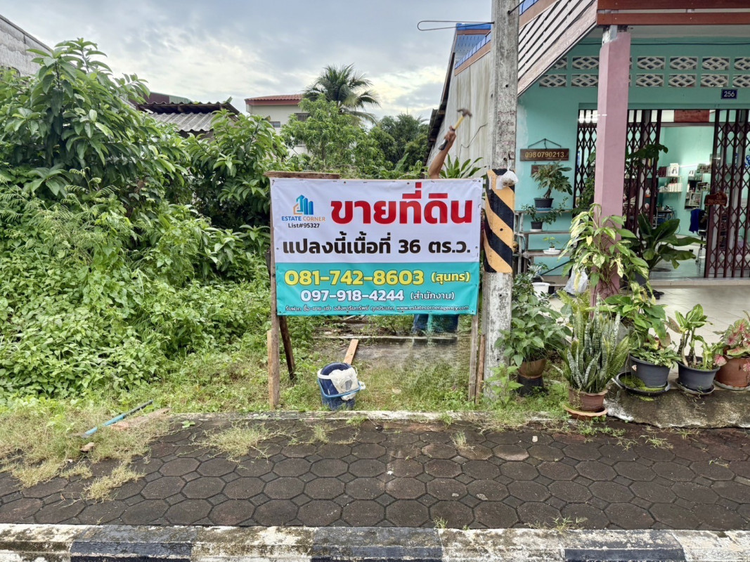 ที่ดินเปล่า พัทลุง บางแก้ว ท่ามะเดื่อ 2000000