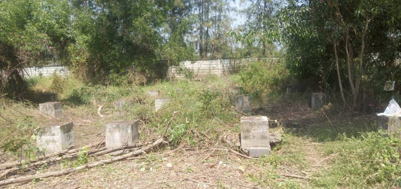 อาคารพาณิชย์ ปทุมธานี คลองหลวง คลองสาม 3300000