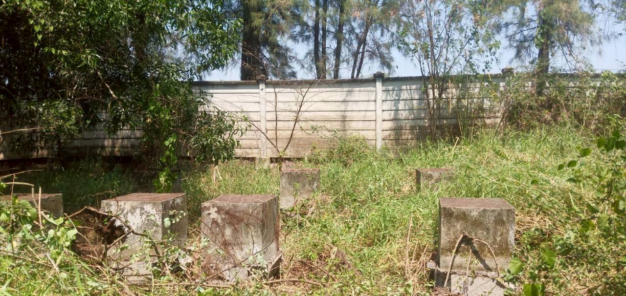 อาคารพาณิชย์ ปทุมธานี คลองหลวง คลองสาม 3300000