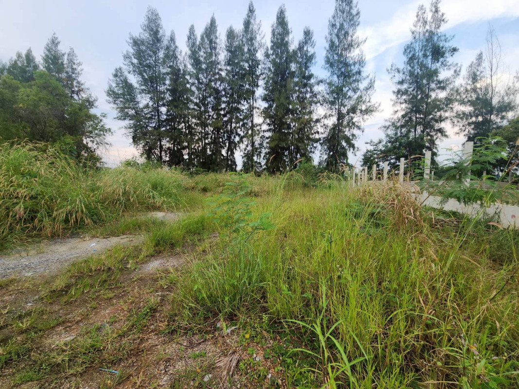 อาคารพาณิชย์ ปทุมธานี คลองหลวง คลองสาม 3300000