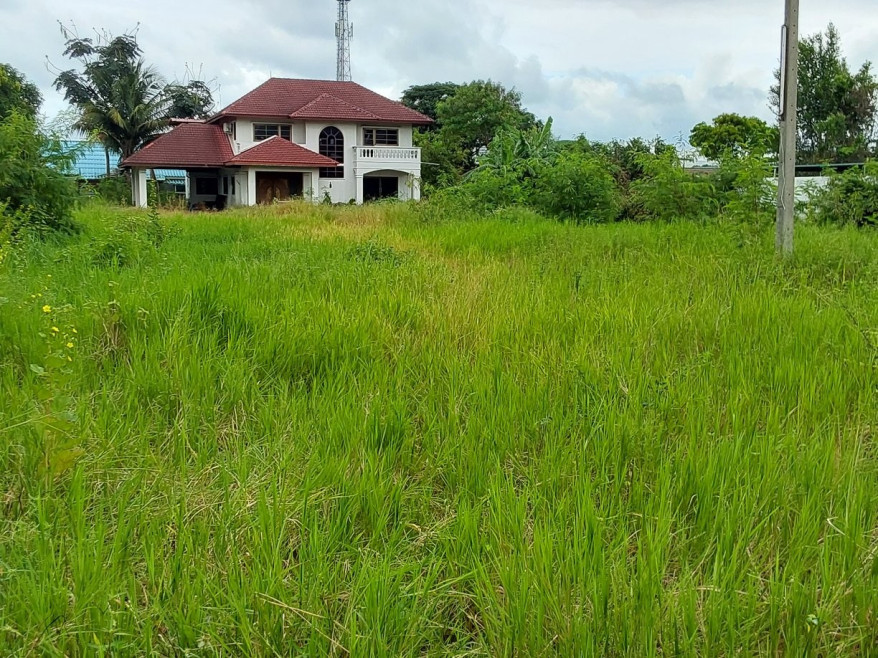 บ้านเดี่ยว นครราชสีมา สูงเนิน สูงเนิน 10097000