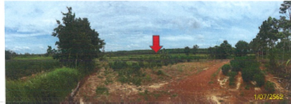 ที่ดินเปล่า สกลนคร บ้านม่วง ม่วง 0