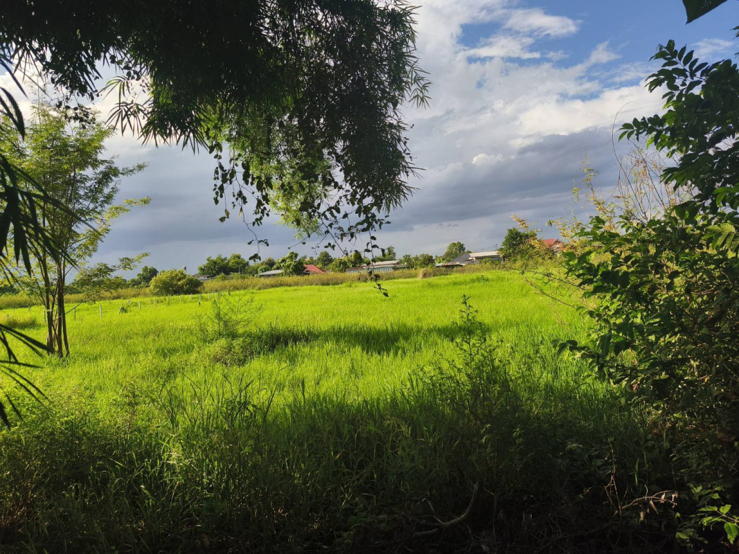 ที่ดินเปล่า เชียงใหม่ สันกำแพง บวกค้าง 21459000