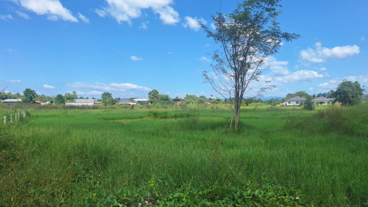 ที่ดินเปล่า เชียงใหม่ สันกำแพง บวกค้าง 21459000