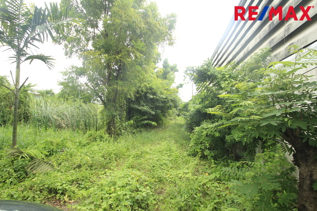 ที่ดินเปล่า สมุทรสาคร เมืองสมุทรสาคร นาดี 17331000