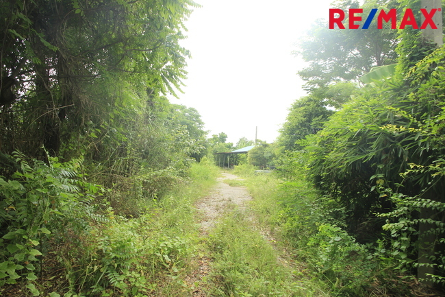 ที่ดินเปล่า สมุทรสาคร เมืองสมุทรสาคร นาดี 17331000