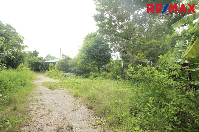 ที่ดินเปล่า สมุทรสาคร เมืองสมุทรสาคร นาดี 17331000