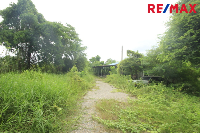 ที่ดินเปล่า สมุทรสาคร เมืองสมุทรสาคร นาดี 17331000