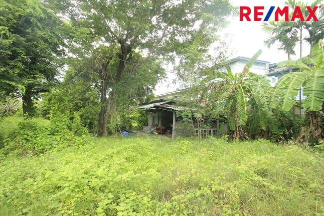 ที่ดินเปล่า สมุทรสาคร เมืองสมุทรสาคร นาดี 17331000