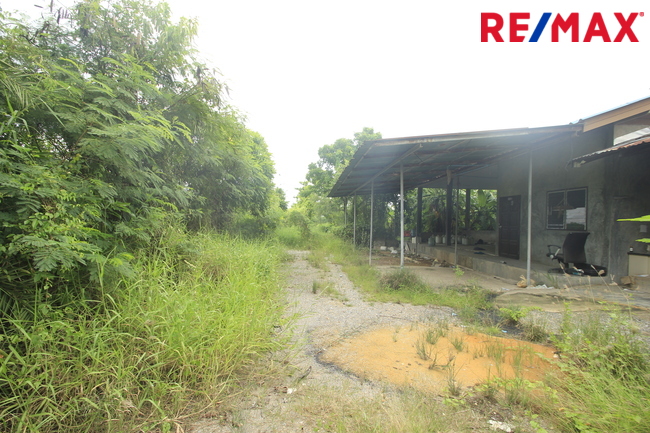 ที่ดินเปล่า สมุทรสาคร เมืองสมุทรสาคร นาดี 17331000