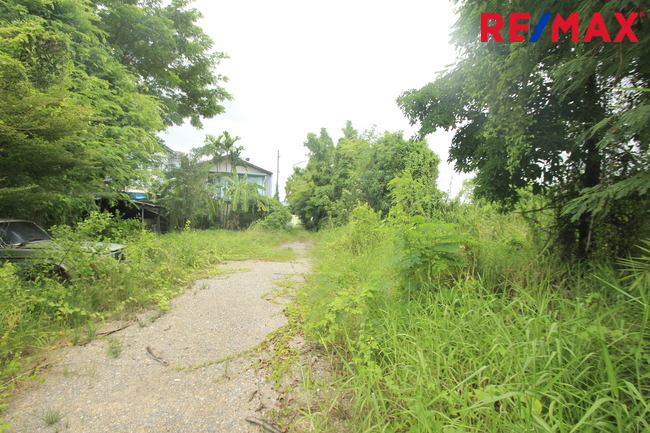 ที่ดินเปล่า สมุทรสาคร เมืองสมุทรสาคร นาดี 17331000