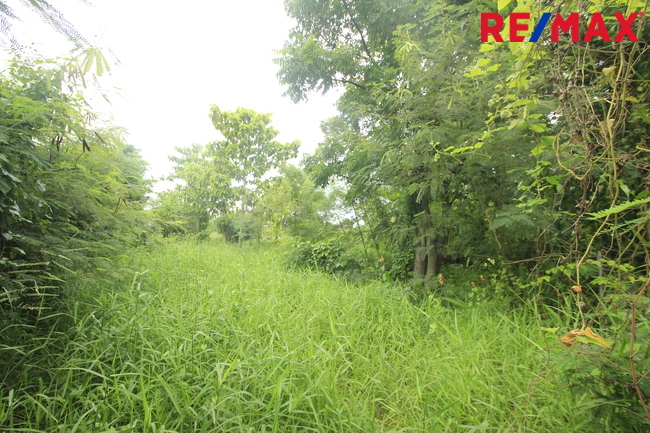 ที่ดินเปล่า สมุทรสาคร เมืองสมุทรสาคร นาดี 17331000