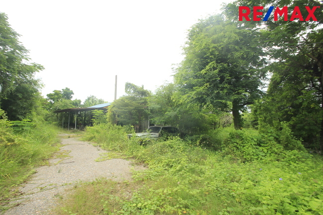 ที่ดินเปล่า สมุทรสาคร เมืองสมุทรสาคร นาดี 17331000