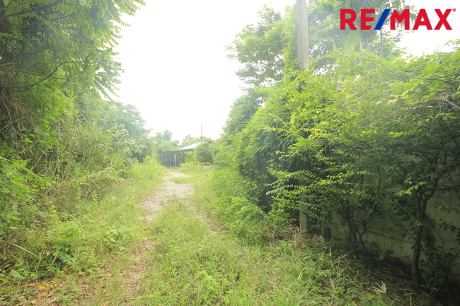 ที่ดินเปล่า สมุทรสาคร เมืองสมุทรสาคร นาดี 17331000