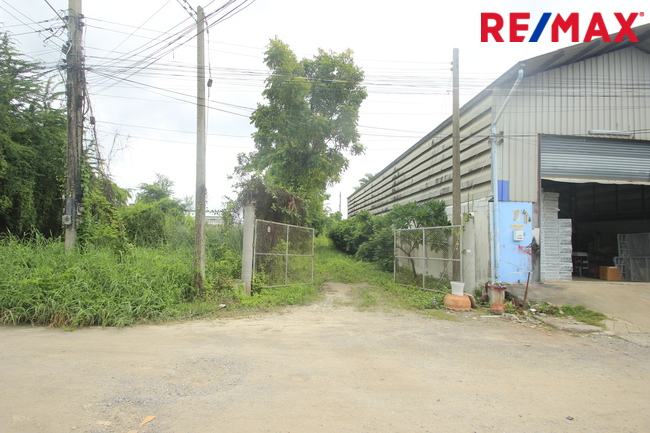 ที่ดินเปล่า สมุทรสาคร เมืองสมุทรสาคร นาดี 17331000