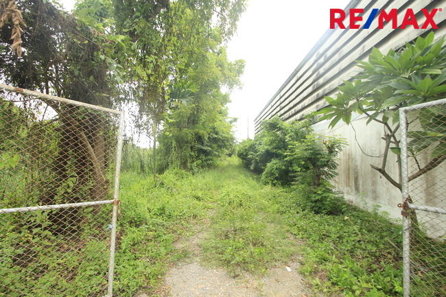 ที่ดินเปล่า สมุทรสาคร เมืองสมุทรสาคร นาดี 17331000