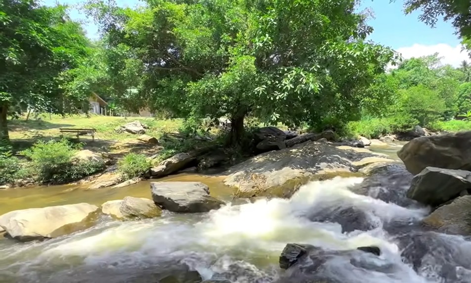 ที่ดินเปล่า เชียงใหม่ จอมทอง บ้านหลวง 5800000