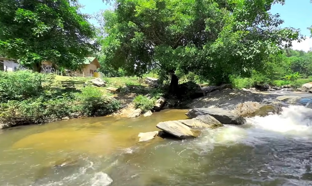 ที่ดินเปล่า เชียงใหม่ จอมทอง บ้านหลวง 5800000