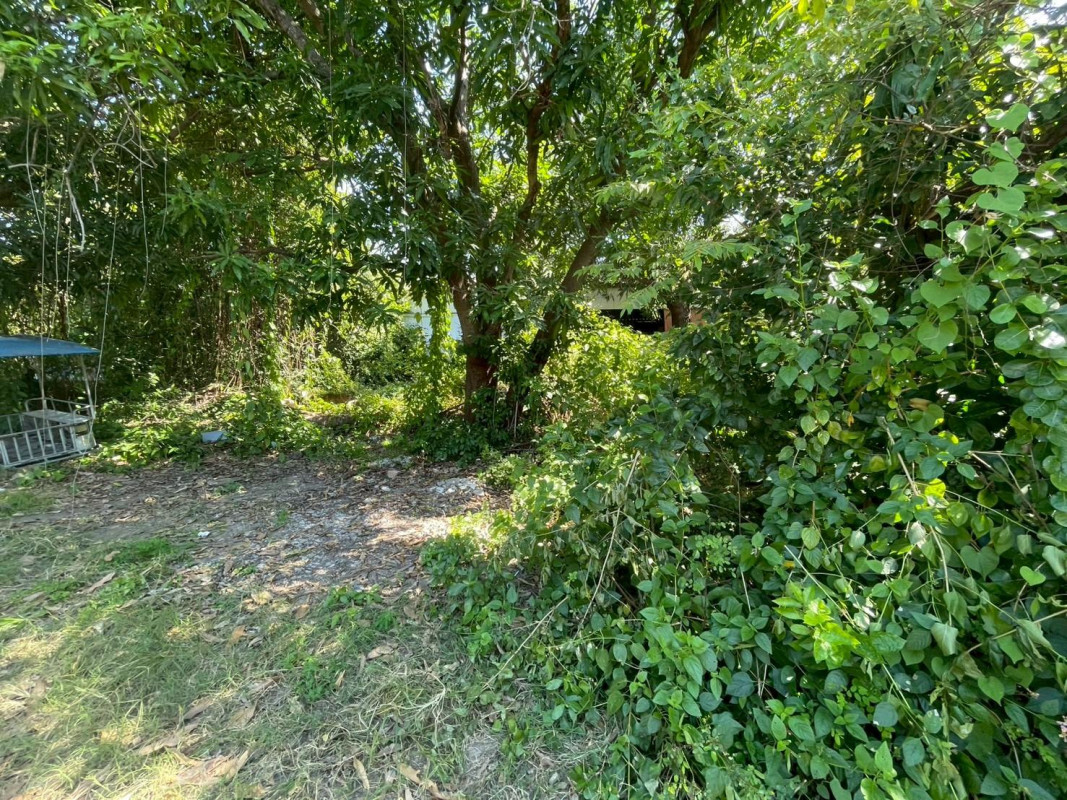 ที่ดินเปล่า นครราชสีมา เมืองนครราชสีมา ในเมือง 18500000