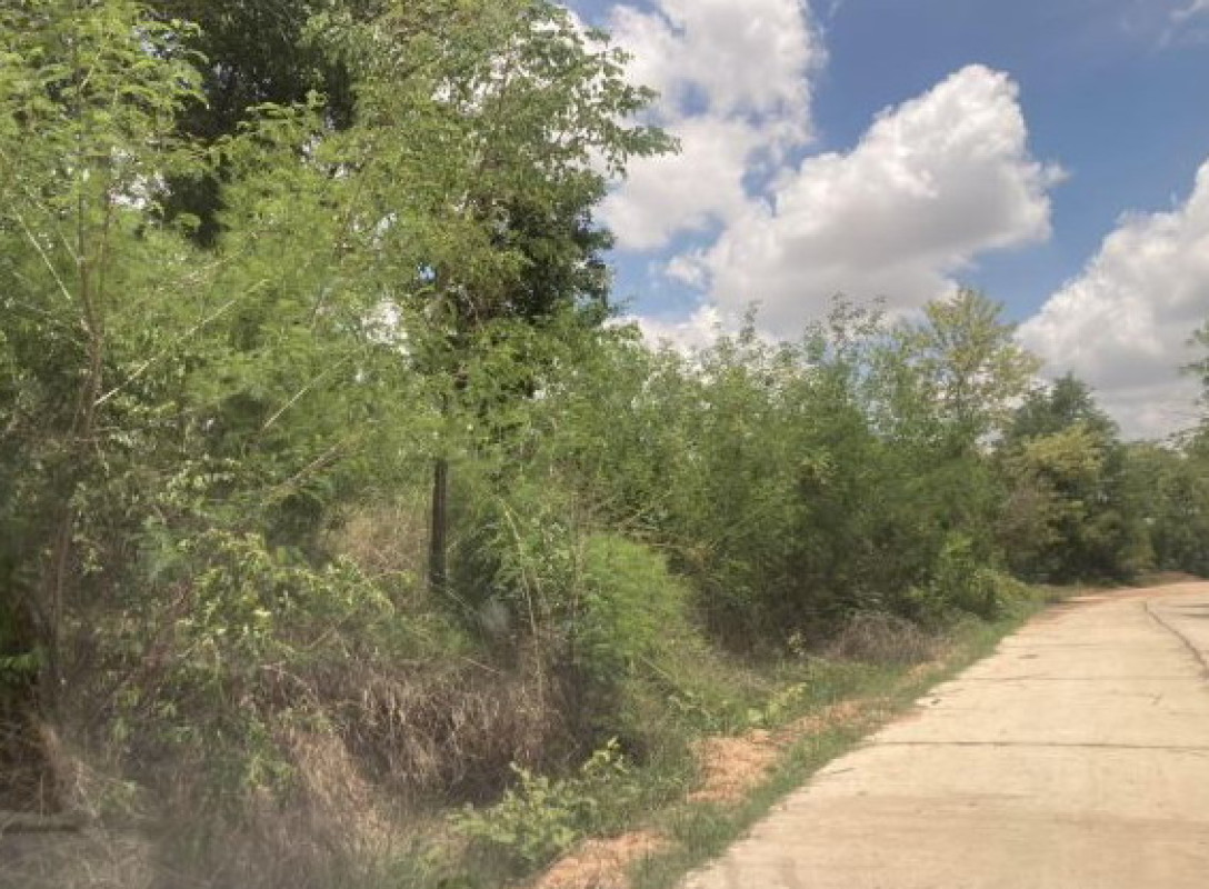 ที่ดินเปล่า มหาสารคาม บรบือ บ่อใหญ่ 781500