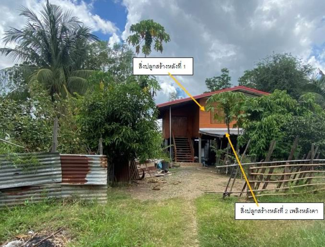 บ้านเดี่ยว พิจิตร บางมูลนาก วังตะกู 454180