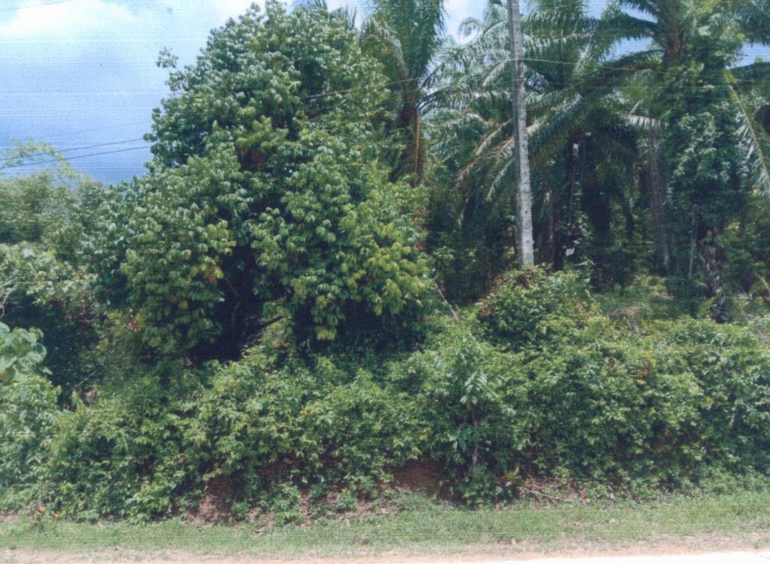 ที่ดินเปล่า ชุมพร พะโต๊ะ ปังหวาน 388800