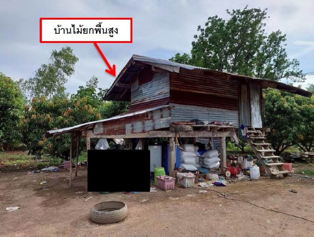 บ้านเดี่ยว พิจิตร วังทรายพูน หนองปลาไหล 86220