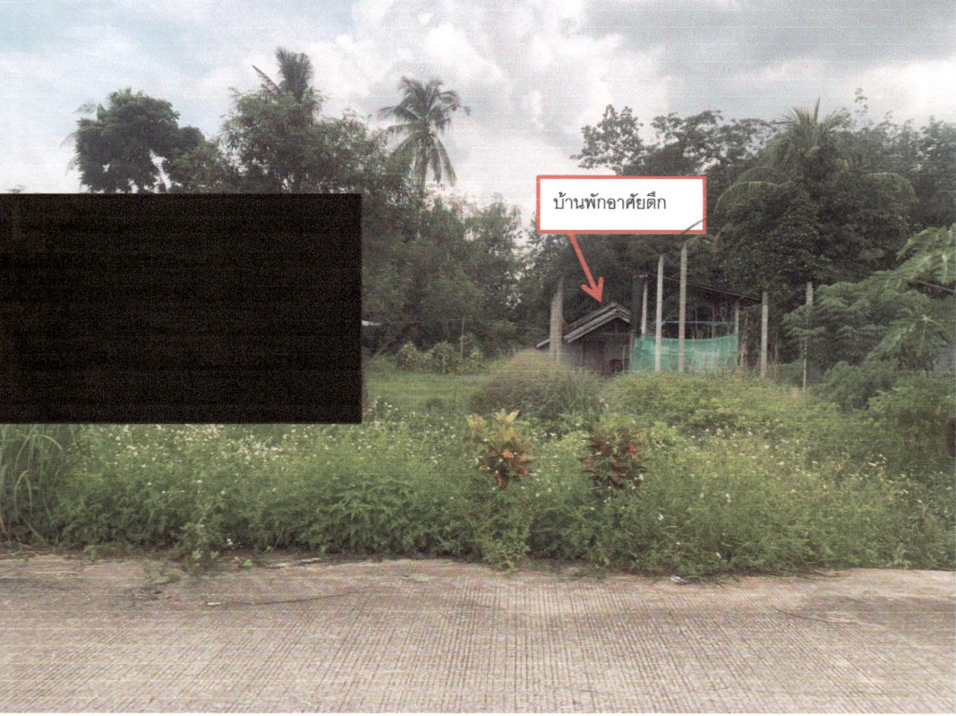 บ้านเดี่ยว พัทลุง ป่าบอน ทุ่งนารี 670180