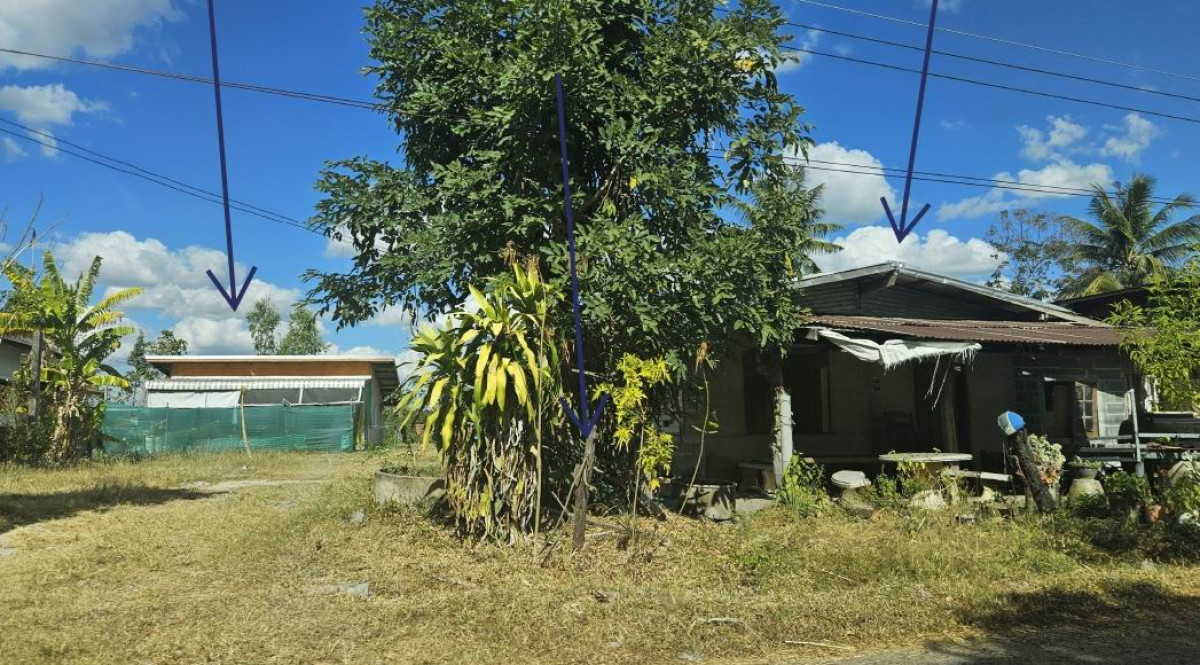 บ้านเดี่ยว อำนาจเจริญ เมืองอำนาจเจริญ สร้างนกทา 745520