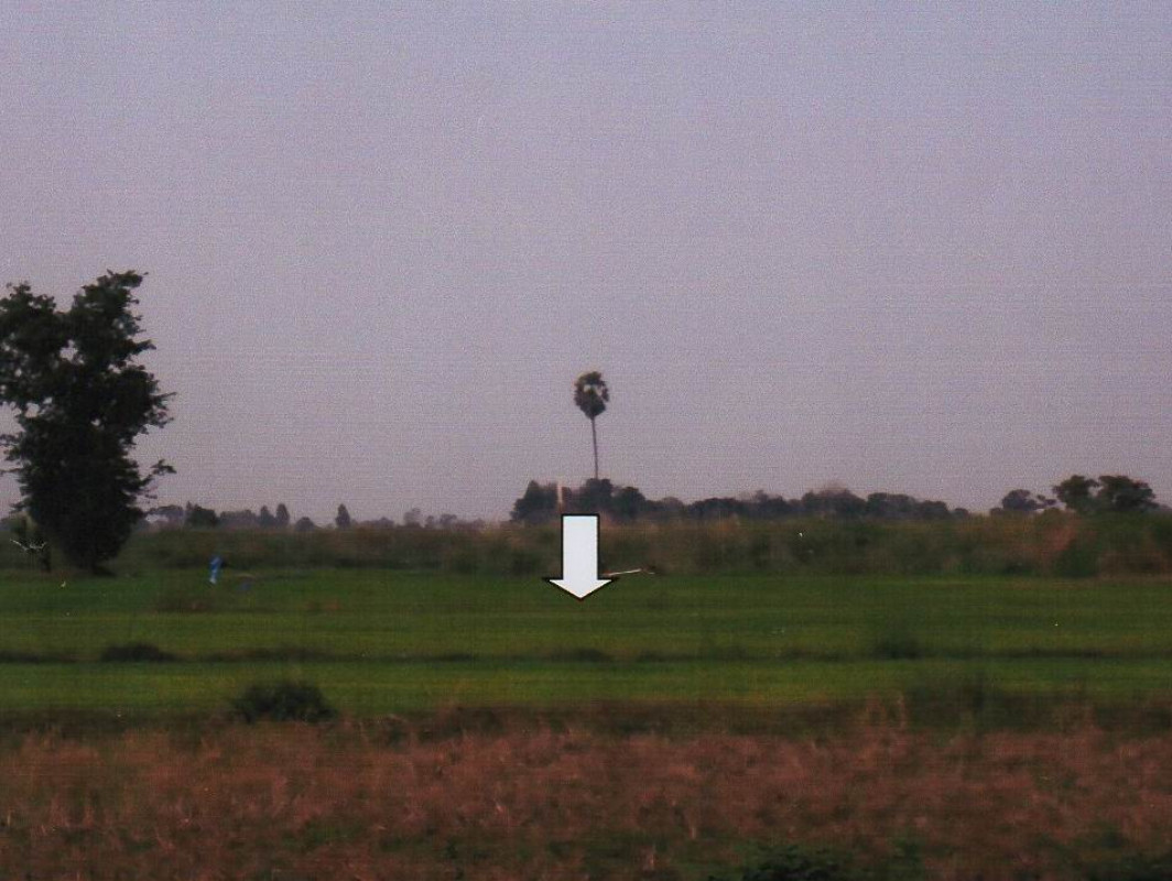 ที่ดินเปล่า สุโขทัย เมืองสุโขทัย บ้านกล้วย 66200