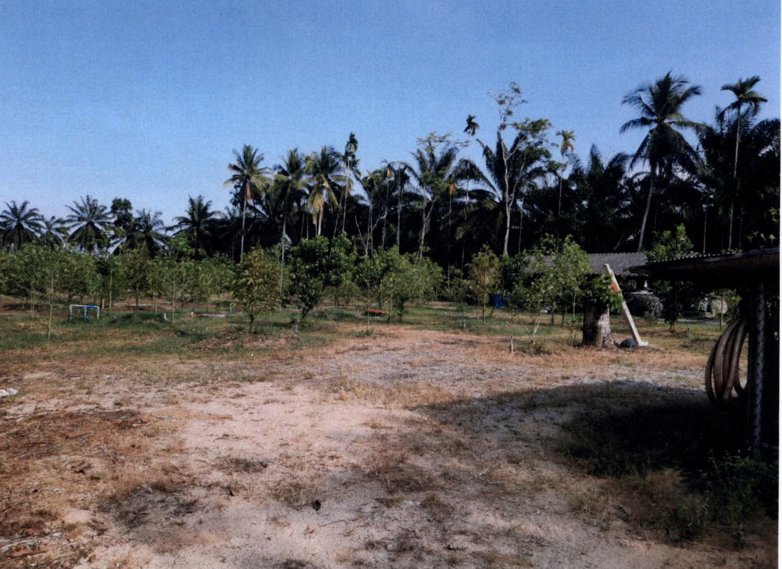 บ้านเดี่ยว ชุมพร ละแม ละแม 1613280