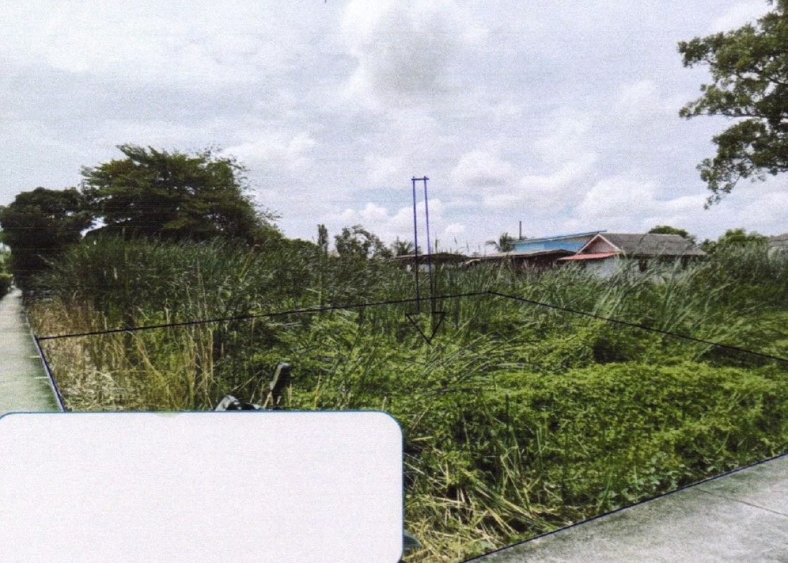 ที่ดินเปล่า นนทบุรี บางใหญ่ บางเลน 1023000