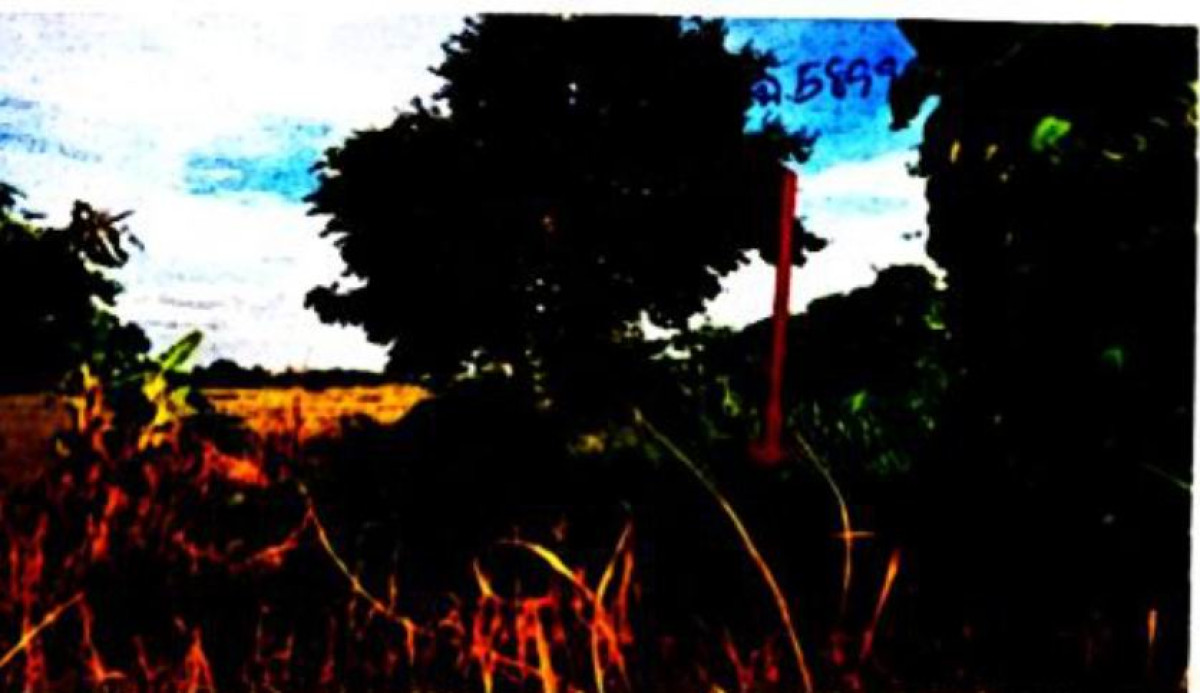 ที่ดินเปล่า สุโขทัย สวรรคโลก วังไม้ขอน 43017