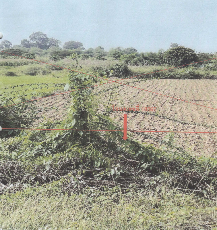 ที่ดินเปล่า นครสวรรค์ โกรกพระ ยางตาล 57096