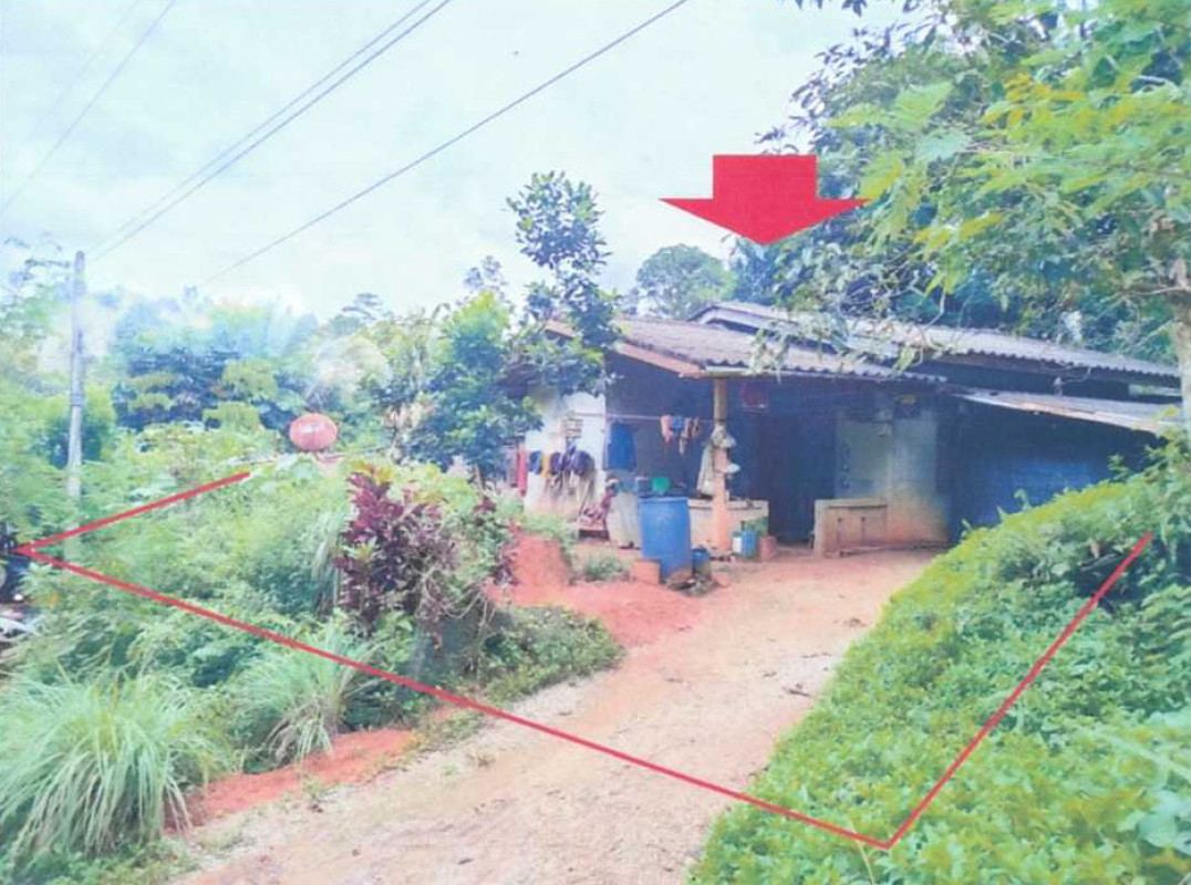 บ้านเดี่ยว นราธิวาส จะแนะ ช้างเผือก 638800