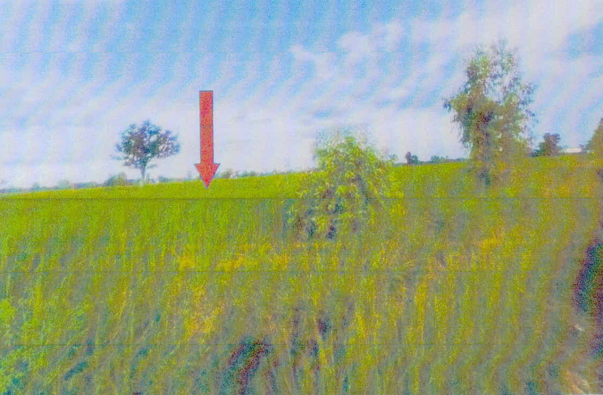 ที่ดินเปล่า ศรีสะเกษ ยางชุมน้อย ยางชุมน้อย 133313