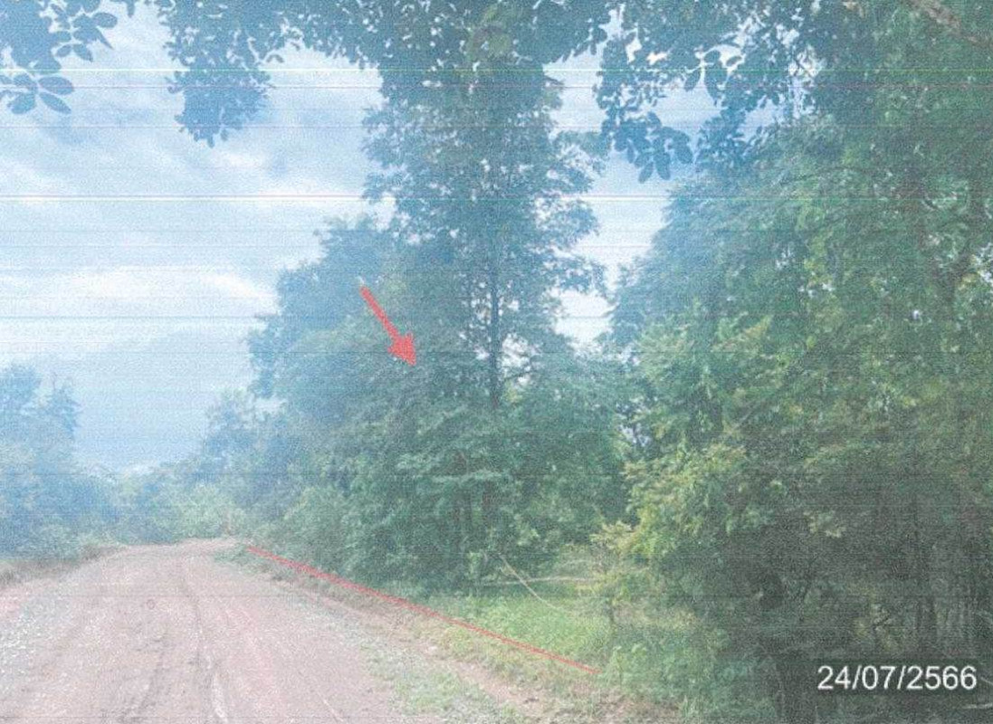 ที่ดินเปล่า หนองบัวลำภู โนนสัง หนองเรือ 1356600