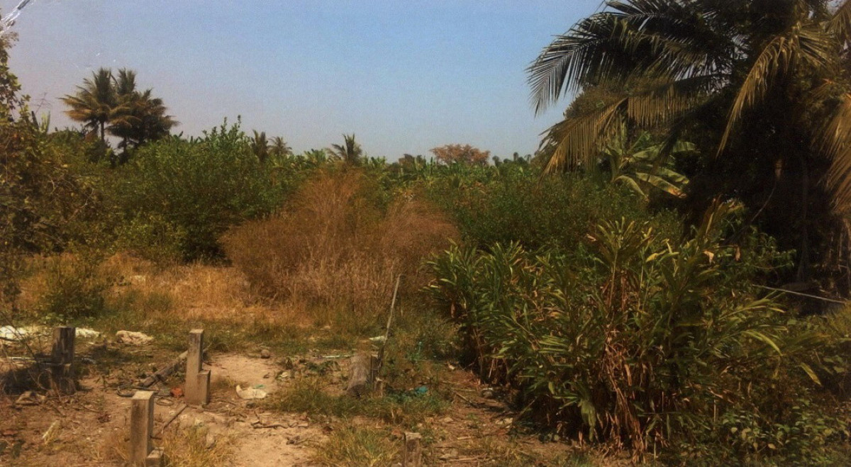 บ้านเดี่ยว นครสวรรค์ บรรพตพิสัย หนองกรด 469840